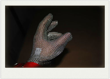 China Cinco guantes del acero inoxidable de los fingeres con el corte resistente para cocinar proveedor