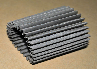 304 SS plisaron el cartucho de filtro de malla de alambre con la capa sola/multi para la filtración de aceite